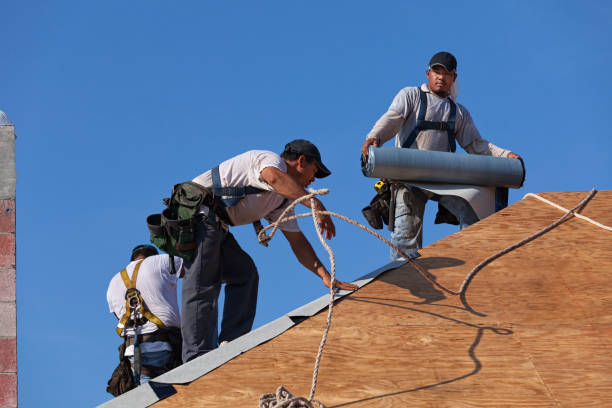 Professional Roofing Contractor in Vance, AL
